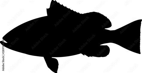 Red Grouper Fish Silhouette Vector Stock Vector | Adobe Stock