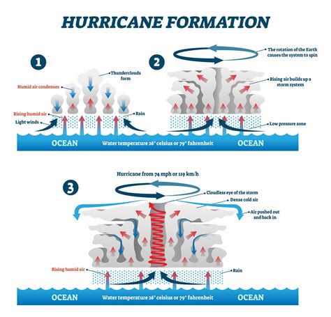 Parts Of A Hurricane Diagram