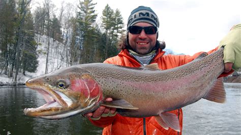 Michigan Spring Steelhead How To Techniques | Spring Steelhead Tips ...