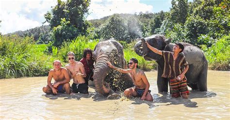 Elephant Sanctuary Thailand - 100% Ethical Experiences