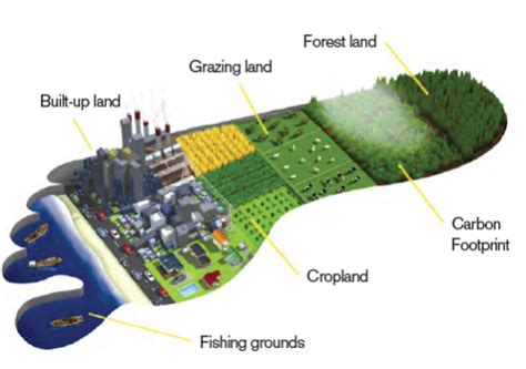 Why Green Economy? | Ecological footprint of the richest: Methodology