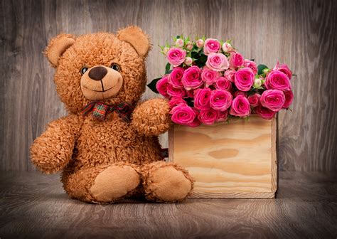 Cute Teddy Bears Wallpapers (59+ images)