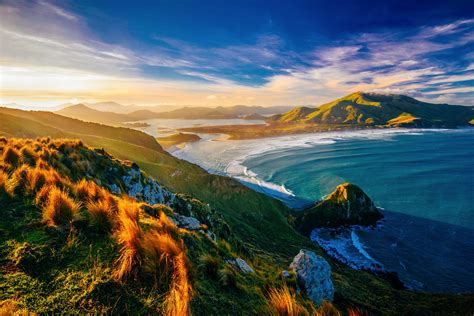 10 Beaches You Have To Visit In New Zealand - Hand Luggage Only ...