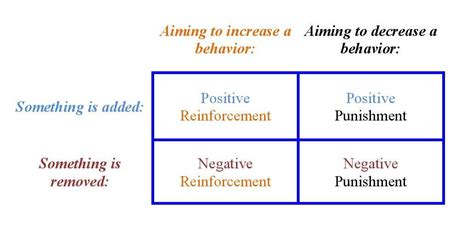 👍 Application of operant conditioning. The Application of Operant ...