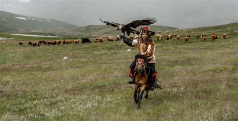 How to Experience Traditional Mongolian Culture - Green Global Travel