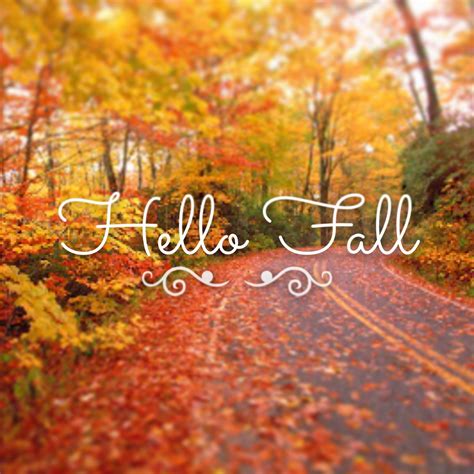 Hello Fall :) #fall #autumn Mabon, Samhain, Autumn Day, Hello Autumn, I ...