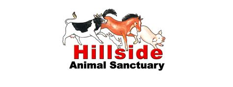 Hillside Animal Sanctuary - Home