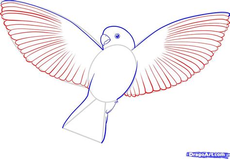 small bird drawing - Google zoeken | Bird drawings, Easy drawings ...