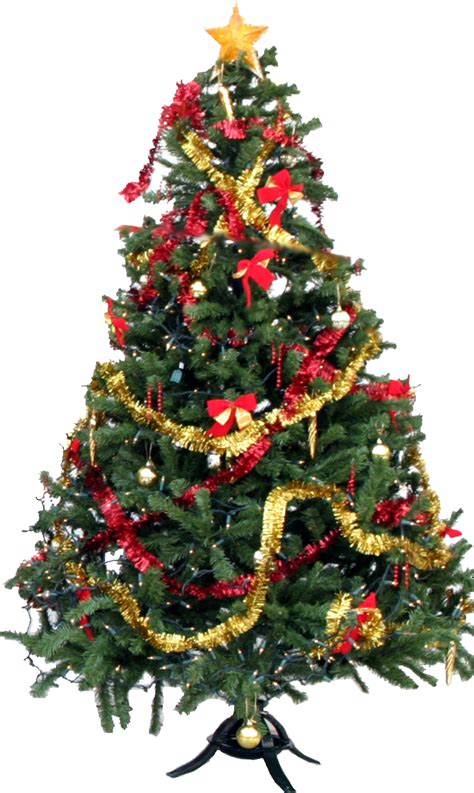 Christmas Tree | PNG All