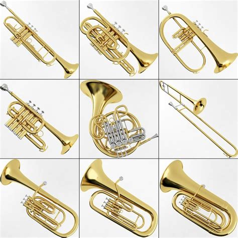 musical instruments | Instrument de musique, Musique, Instruments à vent