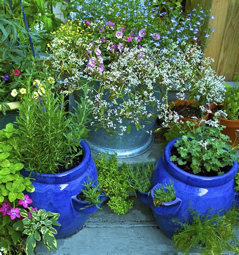 Container Gardening - How to Start