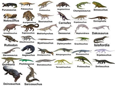 Which prehistoric crocodile is your favorite? : r/Naturewasmetal