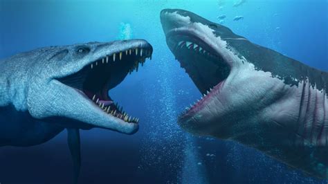 Mosasaurus vs Megalodón, ¿Quién ganaría en una batalla?