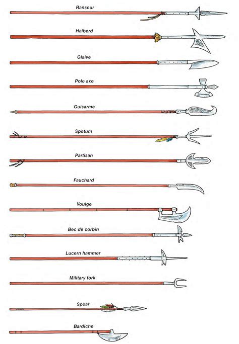 Illustrated Comparison Of Various Types Of Polearms : r/CourtingWonder