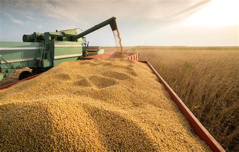 Commercial grain farming – Shell Farm of the Future