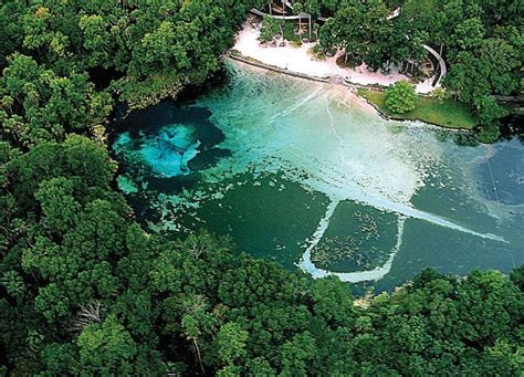 Alexander Springs – The Florida Guidebook