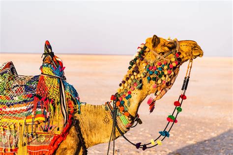 Rann of Kutch Holidays - GlobalJourneys