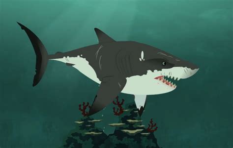 Image - Great White Shark-Wild Kratts.PNG | Wild Kratts Wiki | FANDOM ...