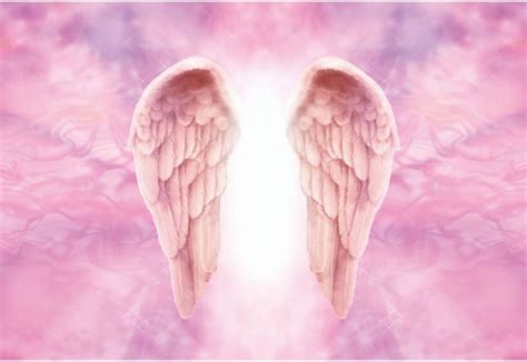 Amazon.com : DORCEV 10x6.5ft Pink Angel Wings Photography Backdrop ...