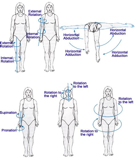 Shoulder Horizontal Abduction And Adduction