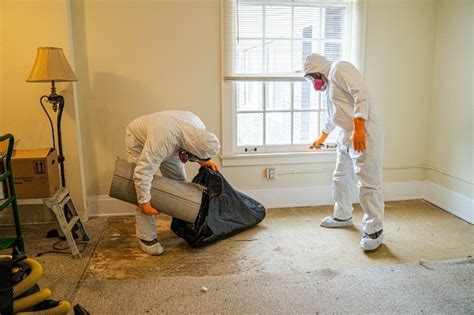 Discover What Crime Scene Cleaners Do and Why It's Important