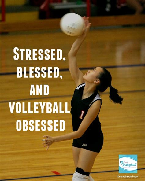 Volleyball Quotes For Teams