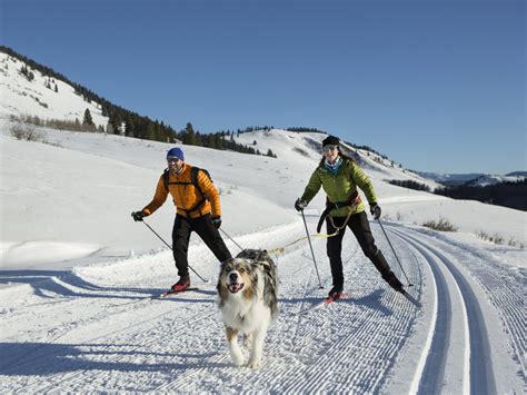 Mushing & Skijoring | Visit Pinedale, WY