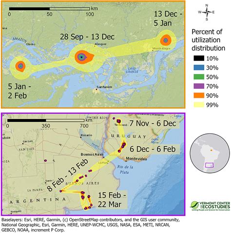 Frontiers | Migration Patterns of Upland Sandpipers in the Western ...