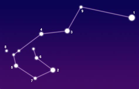 Constellation Carina - The Constellations on Sea and Sky