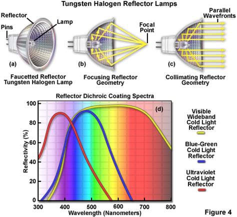 ZEISS Microscopy Online Campus | Tungsten-Halogen Lamps