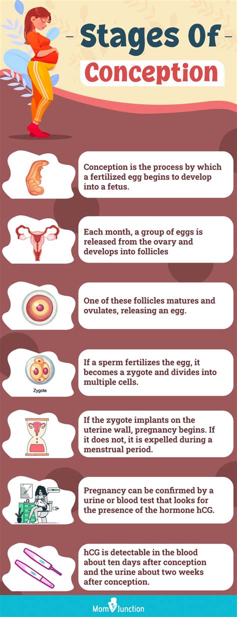 Conception Month vs. Birth Month: Which Has a Greater Impact on Your ...