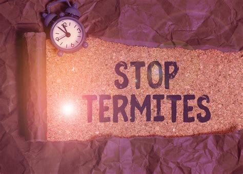 5 Smart Ways to Prevent Termite Infestation