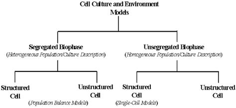 Model classification for prokaryotic and eukaryotic cell culture ...