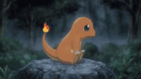 Pokemon Charmander In The Rain GIF | GIFDB.com