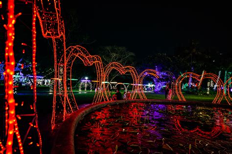 DURBAN BOTANIC GARDENS TRAIL OF LIGHTS 2021 - Durban Tourism