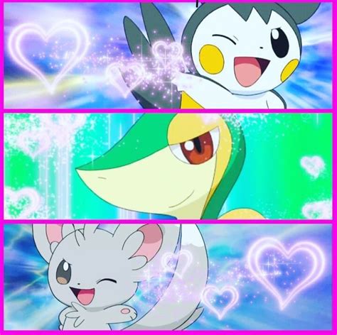 Three attract pokemon #Emolga #Snivy #Minncino Cute Pokemon, Pokemon ...