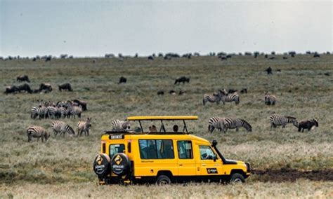 What to Expect on a Tanzania Safari | Tanzania Wildlife Safaris | Tarangire