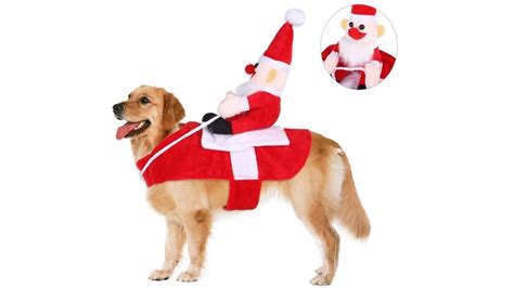 Dog Costumes For Christmas | ubicaciondepersonas.cdmx.gob.mx