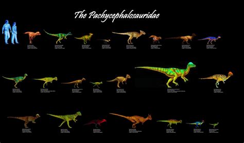 Family Pachycephalosauridae: 22 Genera | Megafauna, Creatures, Prehistoric