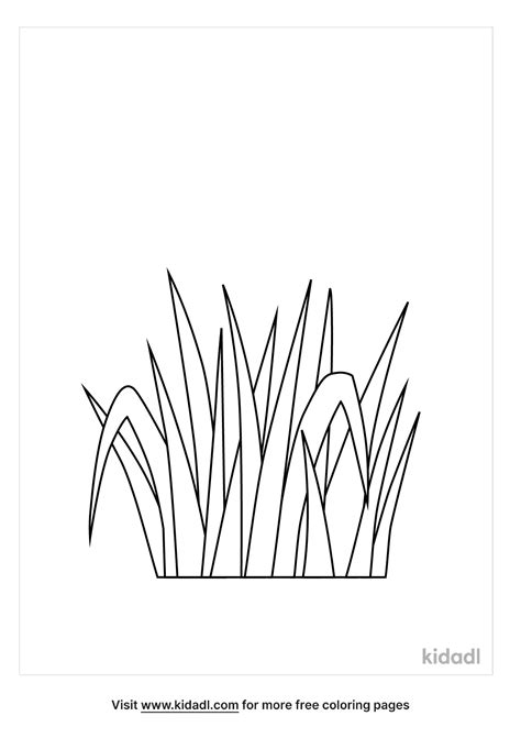 Simple Grass Coloring Pages