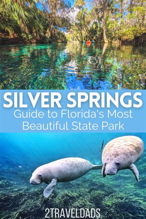 Silver Springs State Park: From Kayaking with Monkeys to Glass Bottom Boats