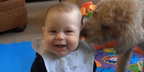 Babies Laughing At Dogs Supercut Is Super Cute (VIDEO) | HuffPost