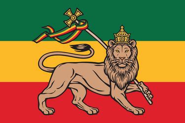 Ethiopian Flag Lion Of Judah