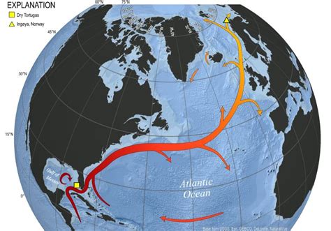 Strong Ocean Anomalies are developing over the Gulf Stream area in the ...