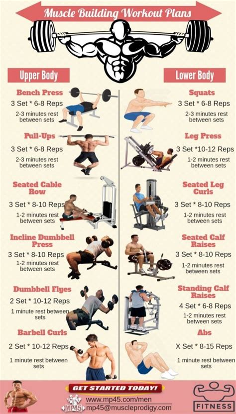 Muscle Building Workout Routine For Men | Muscle building workout plan ...