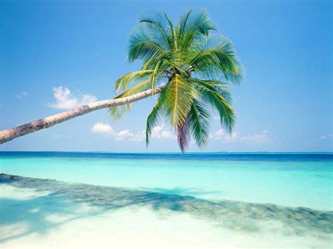 Tropical Island Wallpapers - Top Free Tropical Island Backgrounds ...