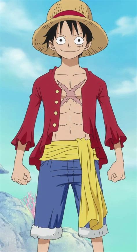 Monkey D. Luffy | Manga anime one piece, Luffy, Monkey d luffy