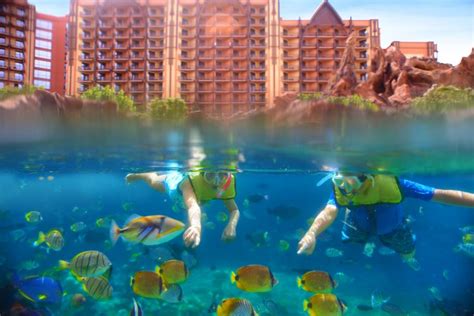 The Incredible Swimming Pools of Aulani, a Disney Resort and Spa in ...