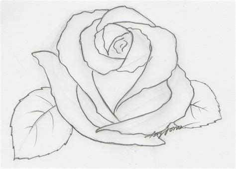 Pencil Sketch Rose Flower Drawing Easy - Denue Voconesto