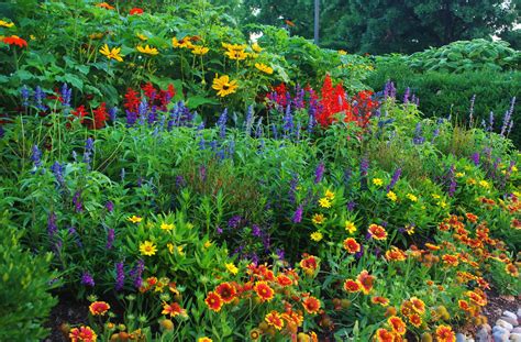 Diversity in Planting: Designing for Pollinators in Our 2016 Summer ...